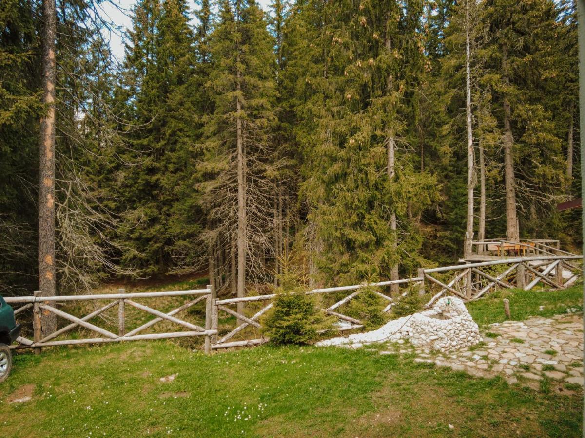 Vila Mounthoff Retreat Moroeni Exteriér fotografie