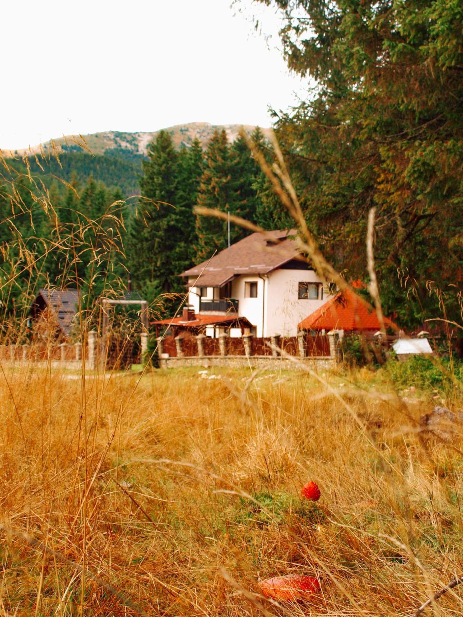 Vila Mounthoff Retreat Moroeni Exteriér fotografie